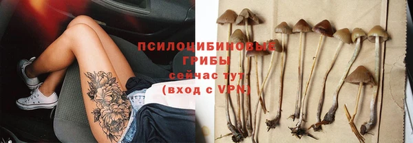 spice Липки