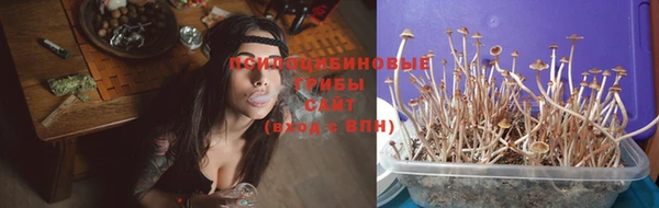 spice Липки