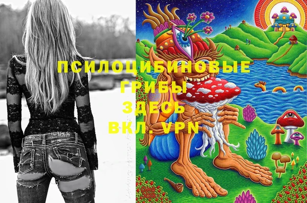 spice Липки
