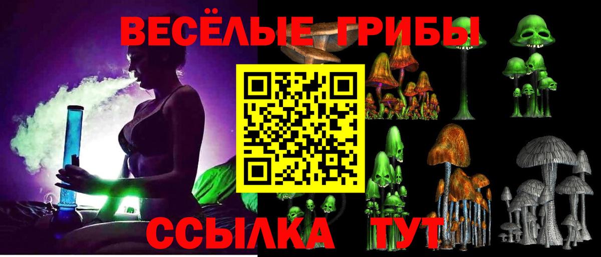 Псилоцибиновые грибы GOLDEN TEACHER  Вход с VPN  Звенигород  Псилоцибиновые грибы мухоморы 