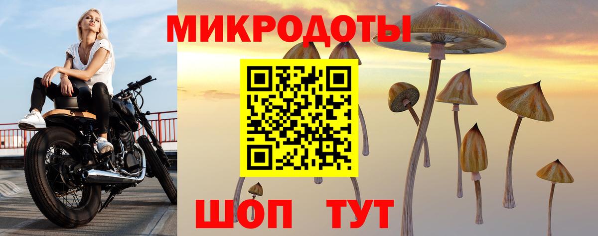 Псилоцибиновые грибы GOLDEN TEACHER Звенигород